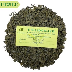 Premium Vietnam Green Tea – Super Pekoe 1 Highland Tea